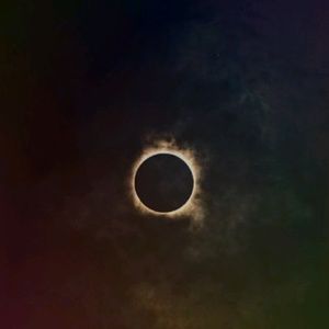 Meet your Posher, Angelina